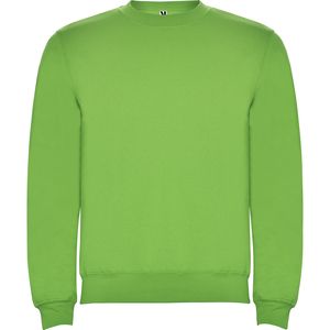 Roly SU1070 - CLASICA Sweatshirt in klassischem Design Oasis Green