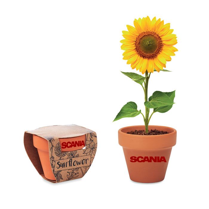 GiftRetail MO6147 - SUNFLOWER Terracotta-Topf Sonnenblume