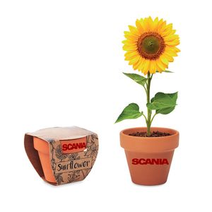 GiftRetail MO6147 - SUNFLOWER Terracotta-Topf Sonnenblume Wood