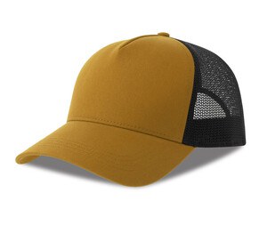 Senf/Schwarz